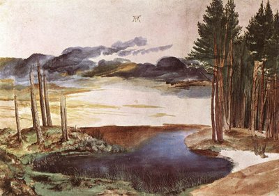 Stagno nel bosco da Albrecht Dürer